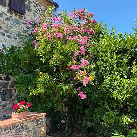 Casa Con Piscina Privata Riscaldata Tutto L'Anno Willa